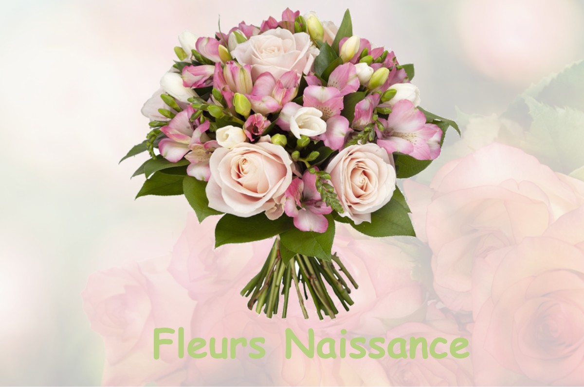 fleurs naissance MOURIES