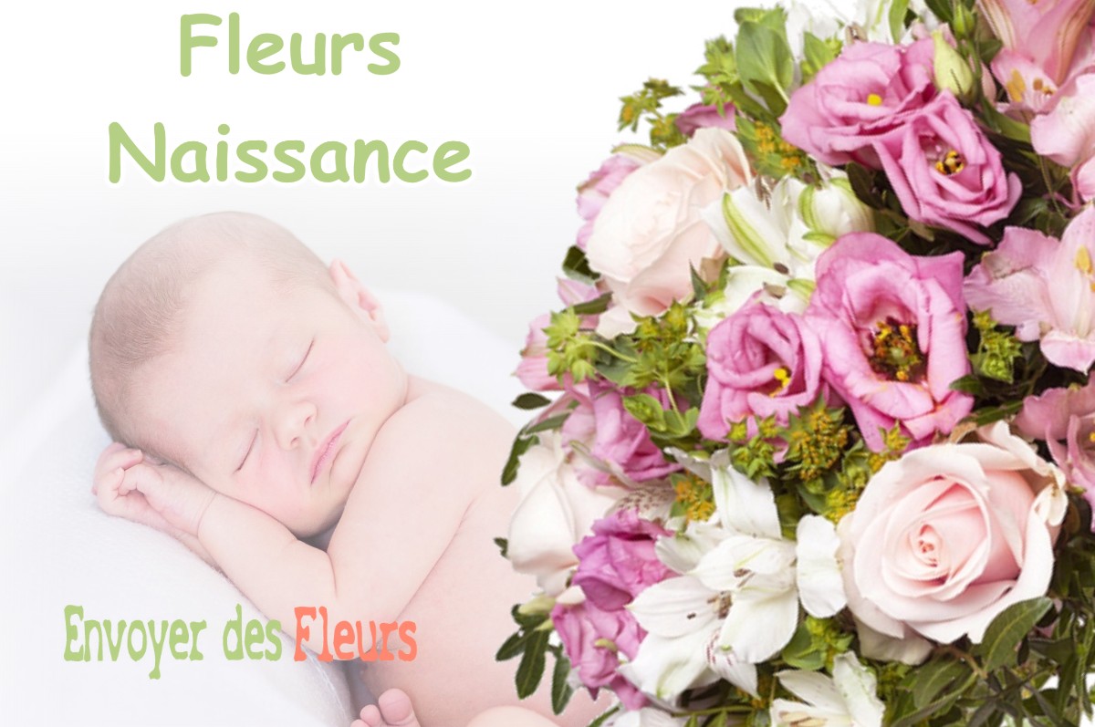 lIVRAISON FLEURS NAISSANCE à MOURIES